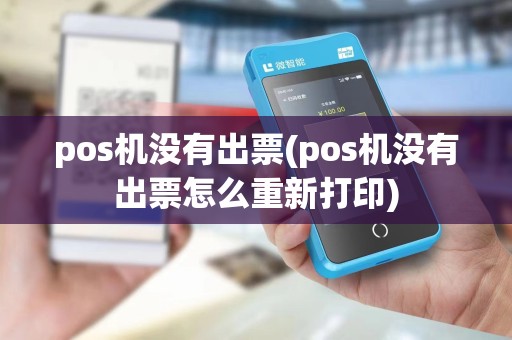 pos机没有出票(pos机没有出票怎么重新打印)