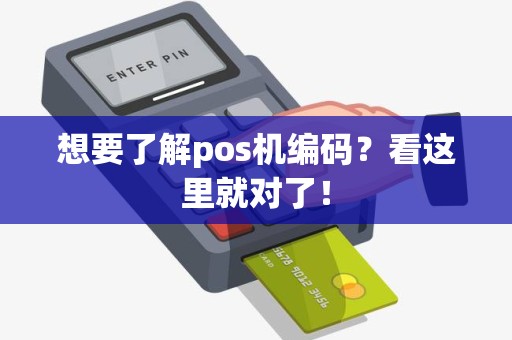 想要了解pos机编码？看这里就对了！