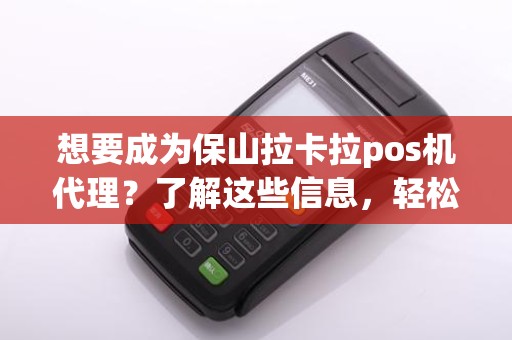 想要成为保山拉卡拉pos机代理？了解这些信息，轻松开启创业之路！