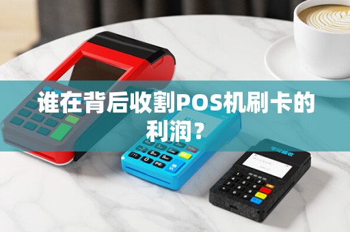 谁在背后收割POS机刷卡的利润？