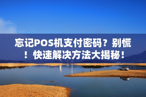 忘记POS机支付密码？别慌！快速解决方法大揭秘！