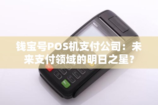钱宝号POS机支付公司：未来支付领域的明日之星？
