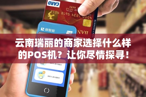 云南瑞丽的商家选择什么样的POS机？让你尽情探寻！