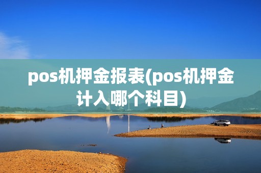 pos机押金报表(pos机押金计入哪个科目)