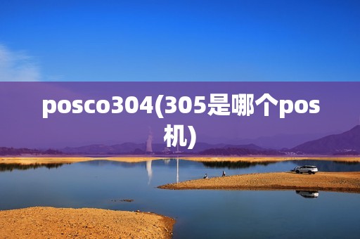 posco304(305是哪个pos机)