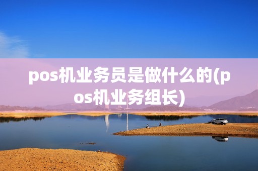 pos机业务员是做什么的(pos机业务组长)