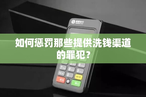 如何惩罚那些提供洗钱渠道的罪犯？