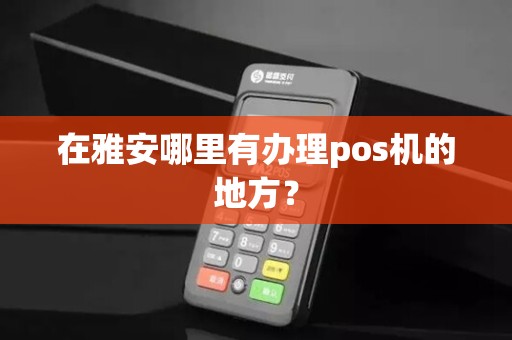 在雅安哪里有办理pos机的地方？