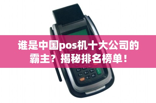 谁是中国pos机十大公司的霸主？揭秘排名榜单！
