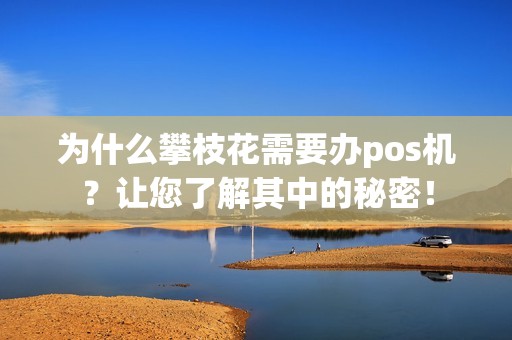 为什么攀枝花需要办pos机？让您了解其中的秘密！