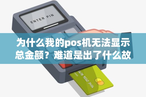 为什么我的pos机无法显示总金额？难道是出了什么故障吗？
