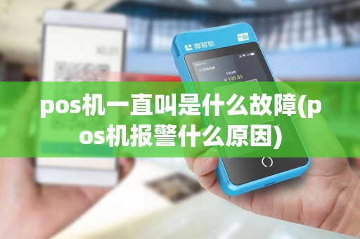 pos机一直叫是什么故障(pos机报警什么原因)