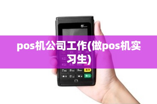 pos机公司工作(做pos机实习生)
