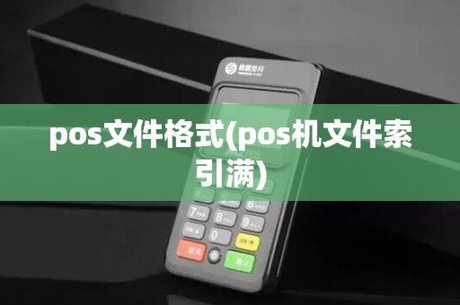 pos文件格式(pos机文件索引满)