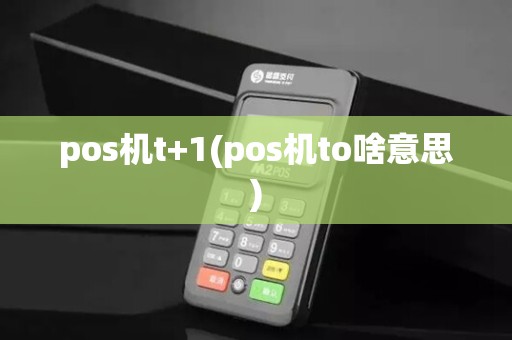 pos机t+1(pos机to啥意思)