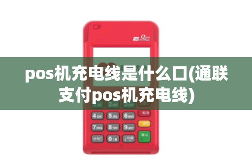 pos机充电线是什么口(通联支付pos机充电线)