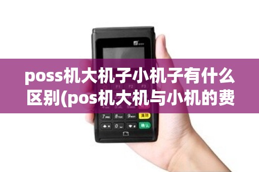 poss机大机子小机子有什么区别(pos机大机与小机的费率不同)