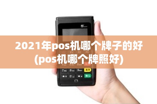 2021年pos机哪个牌子的好(pos机哪个牌照好)