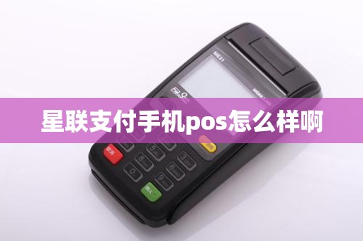 星联支付手机pos怎么样啊