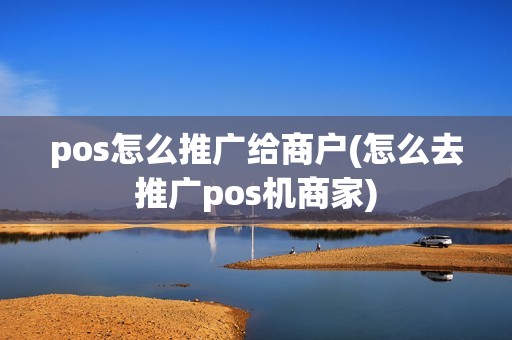 pos怎么推广给商户(怎么去推广pos机商家)