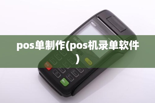 pos单制作(pos机录单软件)
