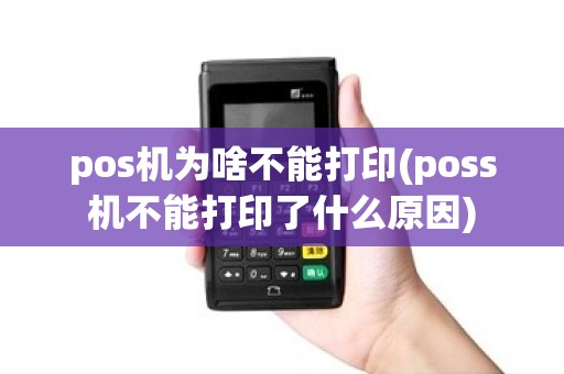 pos机为啥不能打印(poss机不能打印了什么原因)
