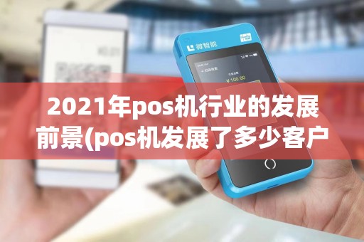 2021年pos机行业的发展前景(pos机发展了多少客户)