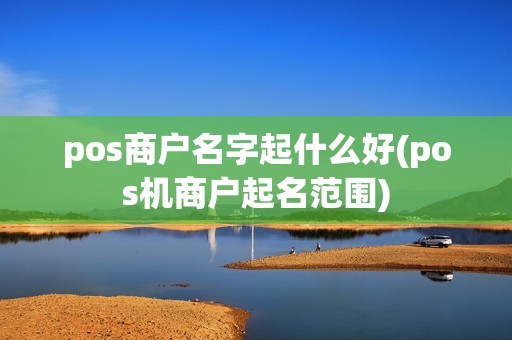 pos商户名字起什么好(pos机商户起名范围)