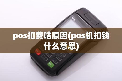 pos扣费啥原因(pos机扣钱什么意思)