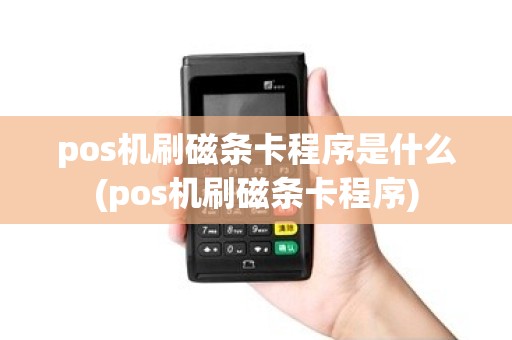 pos机刷磁条卡程序是什么(pos机刷磁条卡程序)