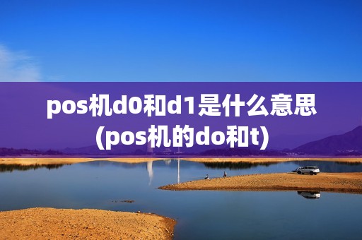 pos机d0和d1是什么意思(pos机的do和t)