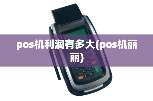 pos机利润有多大(pos机丽丽)