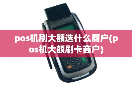 pos机刷大额选什么商户(pos机大额刷卡商户)