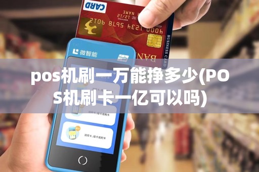pos机刷一万能挣多少(POS机刷卡一亿可以吗)