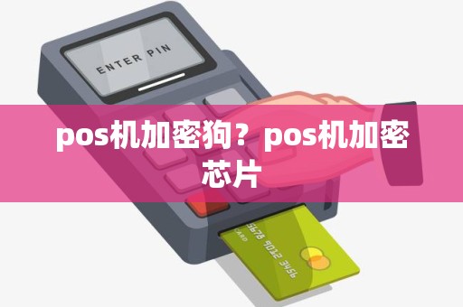 pos机加密狗？pos机加密芯片
