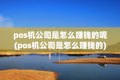 pos机公司是怎么赚钱的呢(pos机公司是怎么赚钱的)