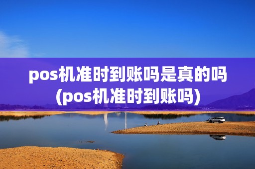 pos机准时到账吗是真的吗(pos机准时到账吗)