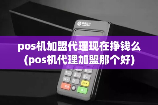 pos机加盟代理现在挣钱么(pos机代理加盟那个好)
