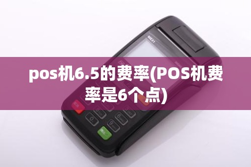 pos机6.5的费率(POS机费率是6个点)