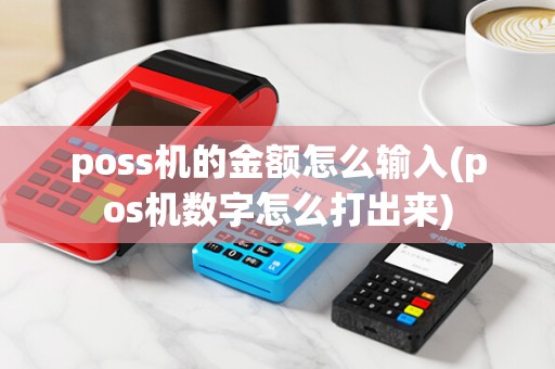 poss机的金额怎么输入(pos机数字怎么打出来)