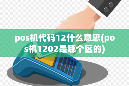 pos机代码12什么意思(pos机1202是哪个区的)