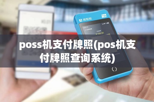 poss机支付牌照(pos机支付牌照查询系统)