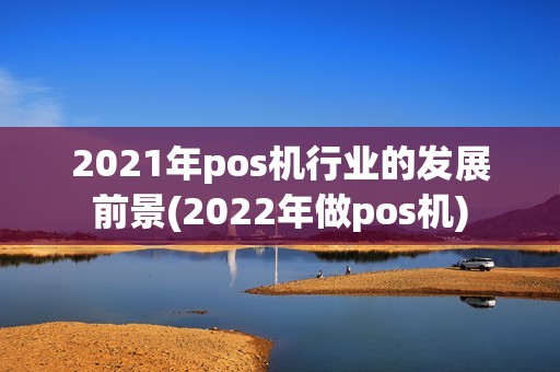 2021年pos机行业的发展前景(2022年做pos机)