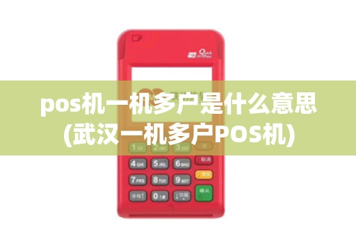 pos机一机多户是什么意思(武汉一机多户POS机)