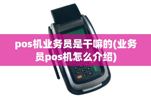pos机业务员是干嘛的(业务员pos机怎么介绍)