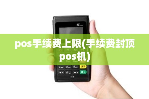 pos手续费上限(手续费封顶pos机)