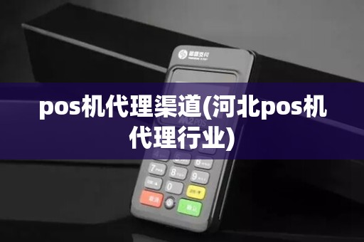 pos机代理渠道(河北pos机代理行业)
