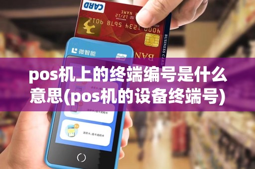 pos机上的终端编号是什么意思(pos机的设备终端号)