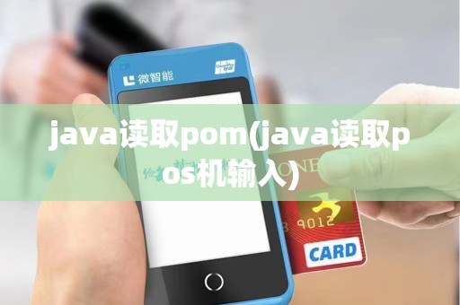 java读取pom(java读取pos机输入)