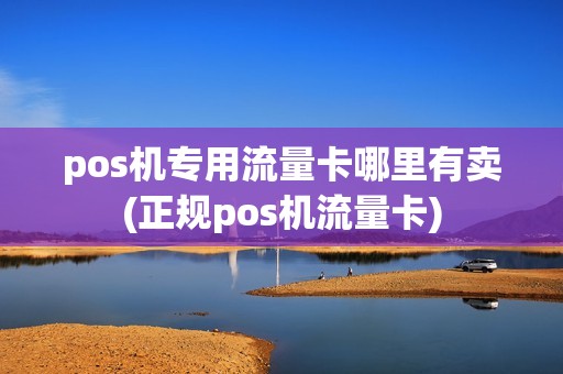pos机专用流量卡哪里有卖(正规pos机流量卡)